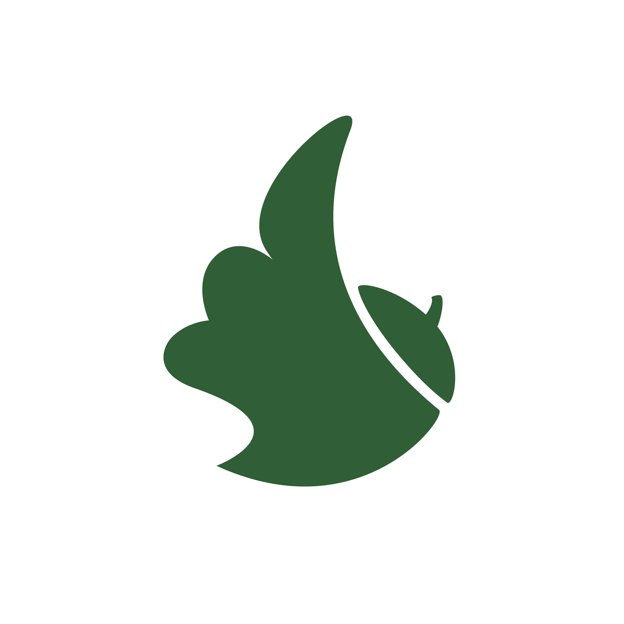 Flying Acorn Logo